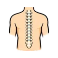 Neck and back injury