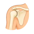 Shoulder injury